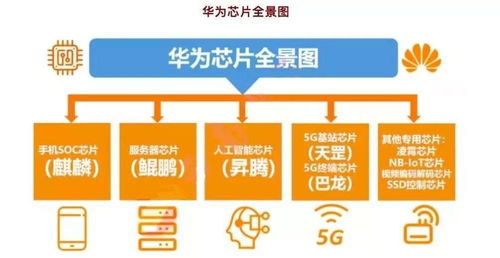 华为鸿蒙双喜临门，系统生态与运维服务并进，2023年科技领域“王者归来”信号显现